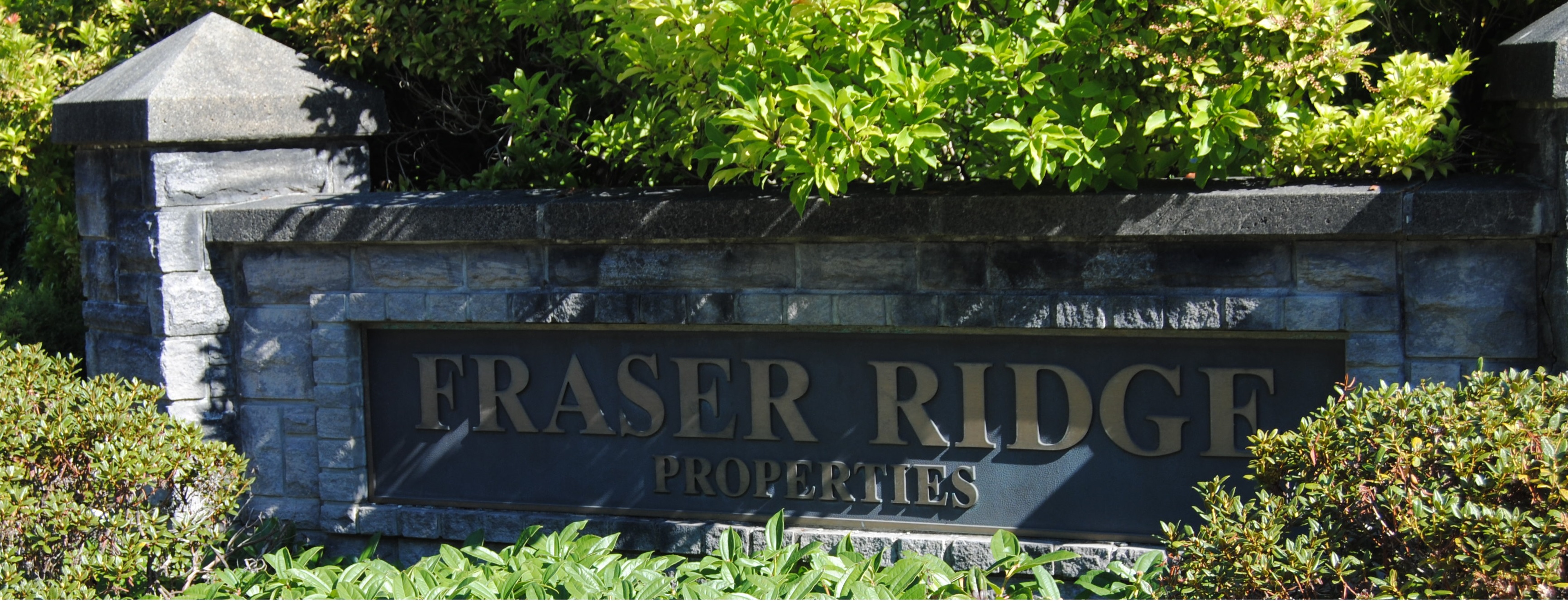 Fraser Heights Real Estate Specialist Joe Zhou